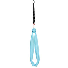 Aerial Yoga Hammock Swing 300 LBS Capacity with Nylon Fabric Daisy Rope and Storage Bag