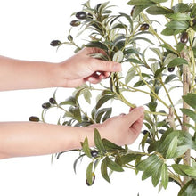 5 ft Artificial Olive Tree Low-Maintenance Plant  for Home Office Indoor Outdoor