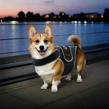 Dog Spine Support Adjustable Harness for Pet's D0053