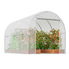 10 x 7 x 7' Ft White Galvanized Frame PE Cover Walk-in Tunnel Greenhouse VV-TG-7502-PE