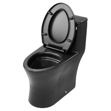 Elongated One‑Piece Dual‑Flush Toilet 12″ Rough‑In (Matte Black)