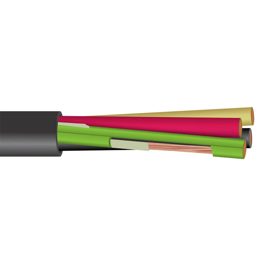 12 AWG 2C Type P Unarmored 600/1000V Power Cable