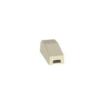 Surface Raceway Electric Ivory PVC Power Rated Fitting RAEFXEI-X (Pack Of 10)