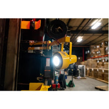 20 ProLight LED Dock Light 111510