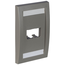 2 Port Mini-Com Executive Series Single Gang Faceplate Mount ABS CFPE2IGY