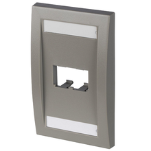 2 Port Mini-Com Executive Series Single Gang Faceplate Mount ABS CFPE2IGY