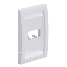 2 Port Mini-Com Executive Series Single Gang Faceplate Mount ABS CFPE2IWY