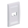 2 Port Mini-Com Executive Series Single Gang Faceplate Mount ABS CFPE2IWY
