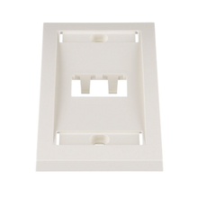 2 Port Mini-Com Executive Series Single Gang Faceplate Mount ABS CFPE2IWY
