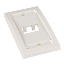 2 Port Mini-Com Executive Series Single Gang Faceplate Mount ABS CFPE2IWY
