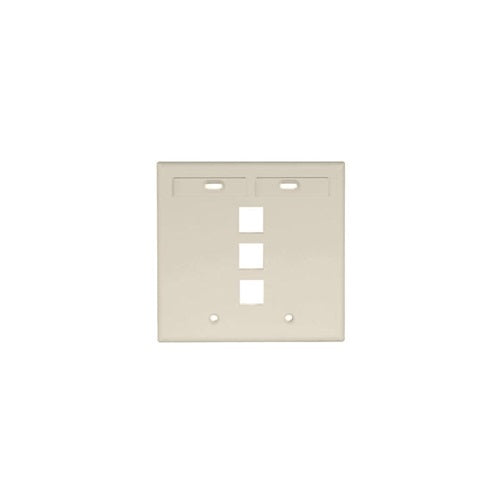 Dual-Gang QUICKPORT Wallplate 3-Port Ivory 42080-3IP