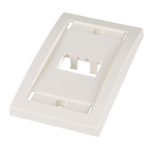 2 Port Mini-Com Executive Series Single Gang Faceplate Mount ABS CFPE2IWY