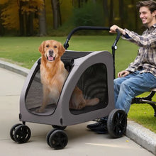 4 Wheels Cat with Dog Carrier and Folding for Pet's DTC-909