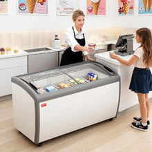 Commercial Ice Cream Display Case 16.3 Cu. Ft., -19 to 3°F 5 Baskets 2 Glass Doors LED Light