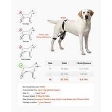 Dog Hip Support Brace Pet Hip Dysplasia Brace Harness Hip Joint Pain Relief D0041