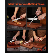 15-Piece Kitchen Knife Set with Block & Sharpener German High Carbon Stainless Steel Cutlery