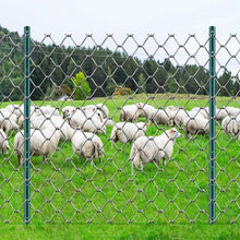 3 FT T-Post Heavy Duty Metal Fence Post (Pack of 10)