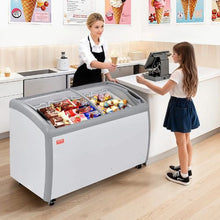Commercial Ice Cream Display Case 12.8 Cu. Ft. -19 to 3°F 4 Baskets 2 Glass Doors
