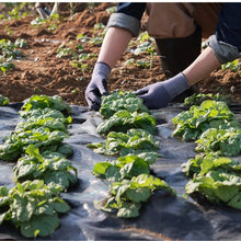 6 x 100' Ft Geotextile Fabric for Landscaping Woven PP Weed Control Fabric Weed Barrier Landscape Fabric 1.8*30.5-108