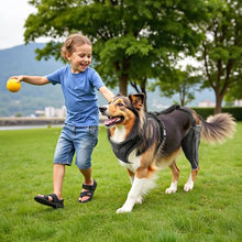 Adjustable Dog Leg Support Brace Pain Relief for Left Leg D0035