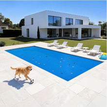 36 x 16 ft Solar Pool Cover 12 mil Bubble Solar Blanket for Inground & Above Ground Pools (Blue)