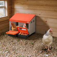 2-Compartment Chicken Nesting Box Wall-Mount Roll-Away Egg Laying Box Galvanized Steel & Plastic Easy Egg Collection for Chickens (Orange)