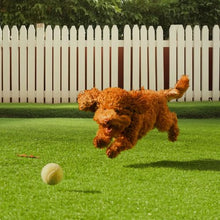 6 x 10 ft Artifical Grass Easy to Clean For Multi-Purpose Home Indoor Entryway Scraper Dog Mats