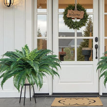 Green Branches Indoor Outdoor Decor Artificial Boston Ferns Plastic Fern (Pack of 2)