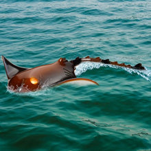 RC Manta Ray Toy, 2.4GHz Remote Control Swimming Ray with Lights, 2 Rechargeable Batteries, Pool & Lake Toy for Kids 6+