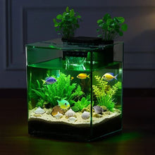 2-Gallon Smart Arch Aquarium with 3-Color LED Lighting