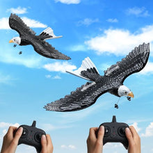 41 cm Remote Control Airplane with 6-Axis Gyro Stabilizer with 2 Batteries for Kids