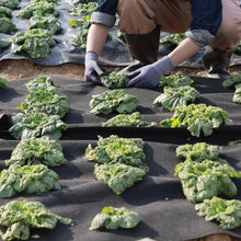 4 x 100' Ft 8OZ Ground Cover Weed Control Fabric Non-Woven Geotextile Fabric GDF-1.2*30.5-271