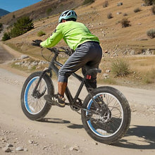 20-Inch Mountain Bike 7-Speed SHIMANO Fat Tire Dual Disc Brakes  for Trail Snow