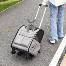 18 lbs Cat with Dog Carrier and Folding for Pet's JW-XB21212519 (T802)