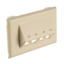PVC 4Port Surface Raceway Single Gang Faceplate Fittings Ivory T70FH4EI
