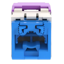 22-26 AWG Mini-Com RJ45 TG Style Cat6A 10Gig UTP Jack Module Polycarbonate CJ6X88TGVL-C (Pack of 100)