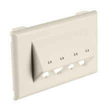 PVC 4Port Surface Raceway Single Gang Faceplate Fittings Off-White T70FH4IW