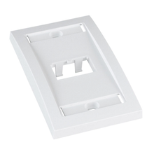 2 Port Mini-Com Executive Series Single Gang Faceplate Mount ABS CFPE2WHY