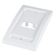 2 Port Mini-Com Executive Series Single Gang Faceplate Mount ABS CFPE2WHY