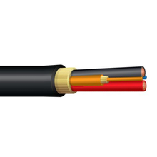 Indoor/Outdoor 12 Gauge Hybrid Series Ultra Fox 900µm Tight Buffer 2 Fiber 2 Copper PVC Black Riser Cable CX004DCQF9KRI2