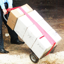 2" x 15 Ft Tie-Down Hand Truck Cinch Strap SLTC215DR
