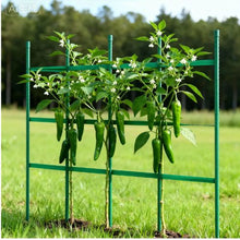 46 Inch Tomato Stakes Metal Garden Stakes for Climbing Plants (50 Pack)