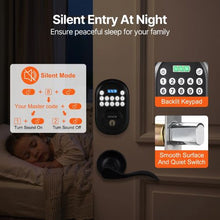 Keyless Entry Door Lock with Handle, Electronic Keypad, Matte Black DS50+L