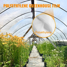 16 x 25 Ft 6 Mil Thickness Greenhouse Clear Plastic Film UV Resistant Polyethylene Film Keep Warming CG-2525-UV