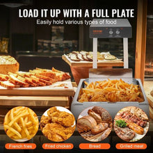 Electric 750W Food Heat Lamp Warmer for Fries & Snacks