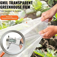 12 x 50 Inch 6 Mil Thickness Clear Greenhouse Film Polyethylene Film UV Resistant Greenhouse Plastic Sheeting Gardening YFSG1250