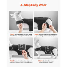 Dog Spine Support Adjustable Harness for Pet's D0053