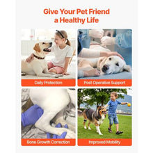 Dog Hip Support Brace Pet Hip Dysplasia Brace Harness Hip Joint Pain Relief D0041