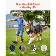 Adjustable Dog Leg Support Brace Pain Relief for Left Leg D0035