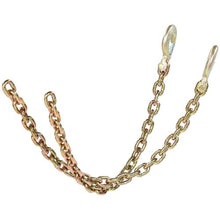 3/8 In Heavy Duty Transport Binder Chain with Clevis Snap Hook for Transporting Towing Truck Tie Down (Pack Of 2)
